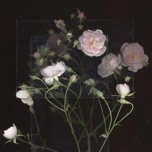 爱弓凉150分钟无删减版
